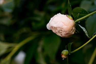 Similar image 22478402