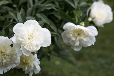 Similar image 22478403