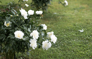 Similar image 22478404