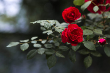 Similar image 22478405