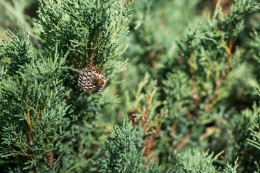 Similar image 22478407