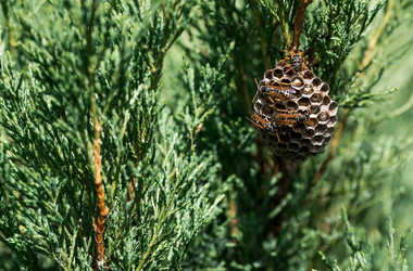 Similar image 22478419