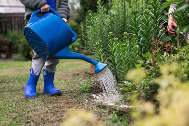 Similar image 22478420