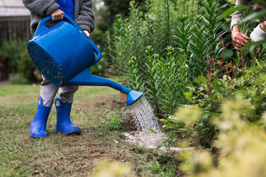 Similar image 22478421