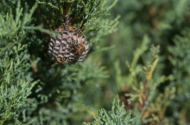 Similar image 22478422