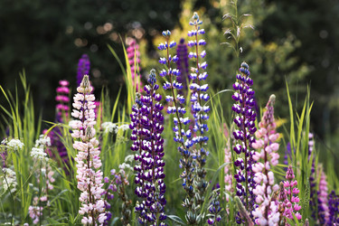 Similar image 22478430