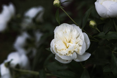 Similar image 22478433