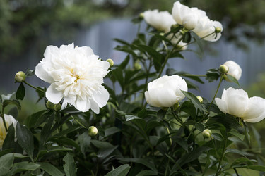 Similar image 22478436