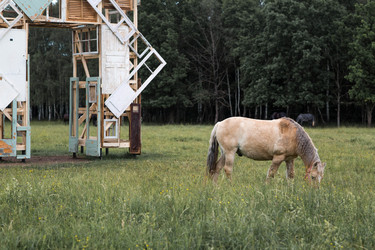 Similar image 22478437