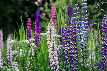 Similar image 22478445