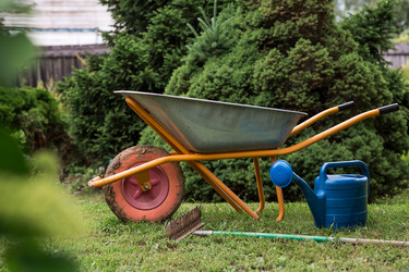 Similar image 22478446