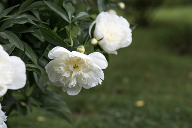 Similar image 22478452