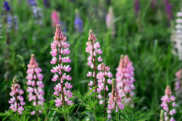 Similar image 22478461