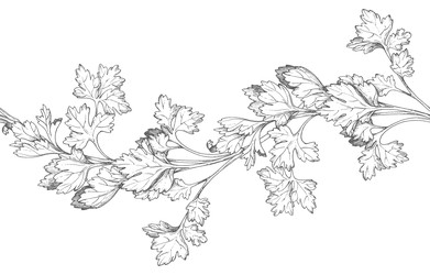 Similar image 22489282