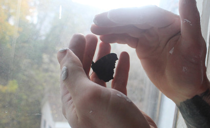 Similar image 22501383