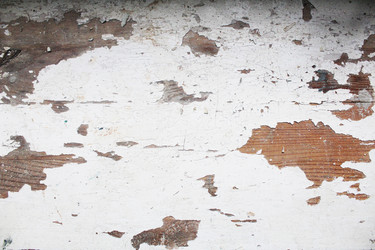 Similar image 22501385