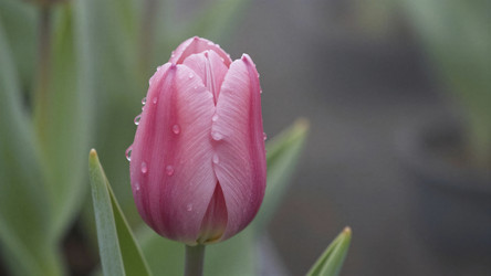 Similar image 22488632