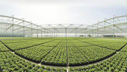 Similar image 22488662