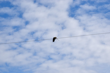 Similar image 22501184