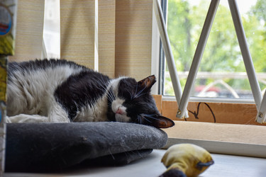 Similar image 22501185