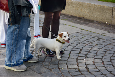 Similar image 22501186