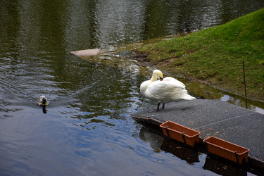 Similar image 22501204