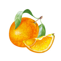 Similar image 22497733