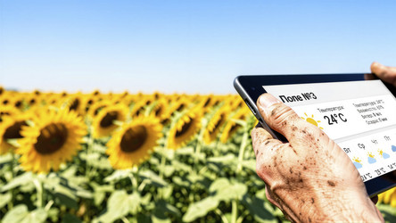 Similar image 22498137