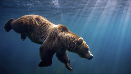 Similar image 22488666