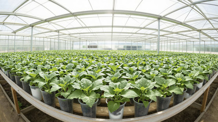 Similar image 22497874