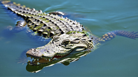 Similar image 22488625