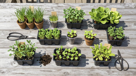 Similar image 22488675