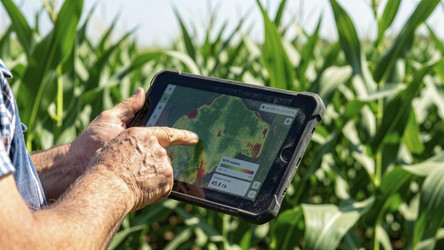 Similar image 22488724