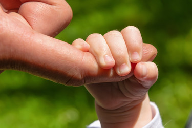 Similar image 22477598