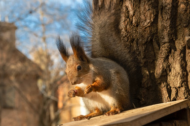 Similar image 22477599