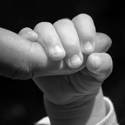 Similar image 22477614