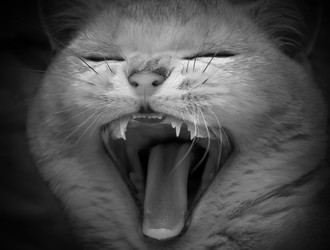 Similar image 22492275