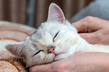 Similar image 22492278