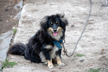 Similar image 22492290