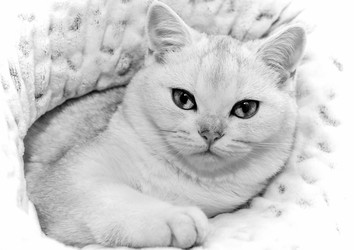 Similar image 22492305