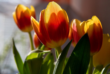 Similar image 22492306