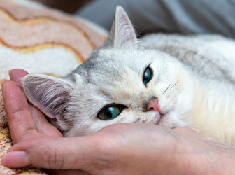 Similar image 22492309