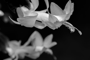 Similar image 22477658