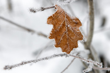 Similar image 22477660