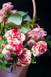 Similar image 22477661