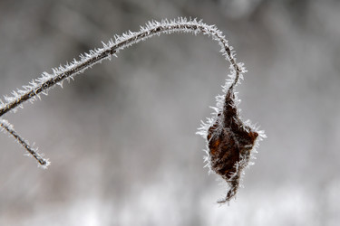 Similar image 22477673