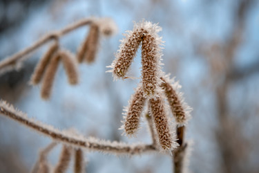 Similar image 22477675