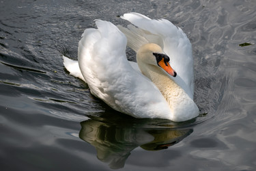 Similar image 22492320