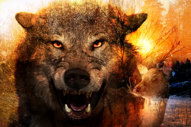 Similar image 22477688