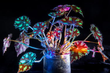 Similar image 22477689